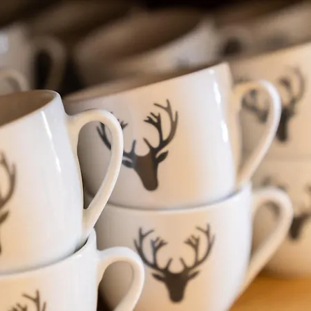 Floeckner Panzió Salzburg