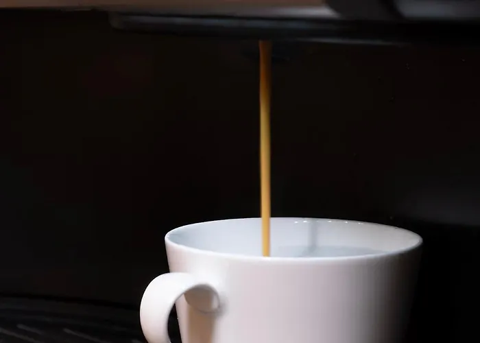 Floeckner 住宿加早餐酒店 4*